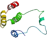 Coiled Coil Domain Containing Protein 49 (CCDC49)