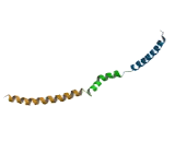 Nuclear Speckle Splicing Regulatory Protein 1 (NSRP1)