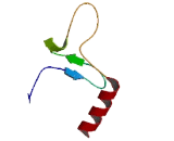 Cytochrome C Oxidase Assembly Factor 3 Homolog (COA3)