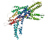 Coiled Coil Domain Containing Protein 57 (CCDC57)