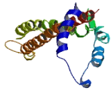 Coiled Coil Domain Containing Protein 59 (CCDC59)