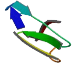 Coiled Coil Domain Containing Protein 6 (CCDC6)