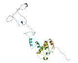 Coiled Coil Domain Containing Protein 61 (CCDC61)