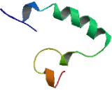 Translation Machinery Associated Protein 7 (TMA7)