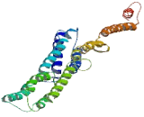 Coiled Coil Domain Containing Protein 73 (CCDC73)