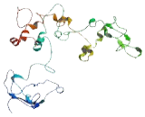 Coiled Coil Domain Containing Protein 74A (CCDC74A)