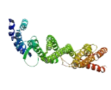 Coiled Coil Domain Containing Protein 77 (CCDC77)