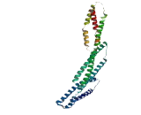 Coiled Coil Domain Containing Protein 78 (CCDC78)