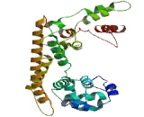 Coiled Coil Domain Containing Protein 80 (CCDC80)