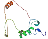 Coiled Coil Domain Containing Protein 84 (CCDC84)