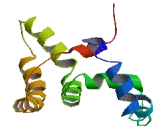 Coiled Coil Domain Containing Protein 86 (CCDC86)