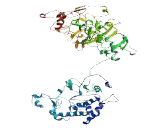 Coiled Coil Domain Containing Protein 87 (CCDC87)