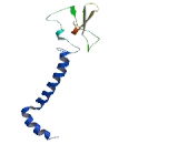 Coiled Coil Domain Containing Protein 9 (CCDC9)