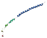 Coiled Coil Domain Containing Protein 91 (CCDC91)