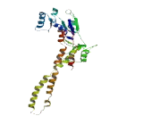 Coiled Coil Domain Containing Protein 97 (CCDC97)