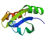 Coiled Coil Helix Coiled Coil Helix Domain Containing Protein 1 (CHCHD1)