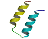 Coiled Coil Helix Coiled Coil Helix Domain Containing Protein 10 (CHCHD10)