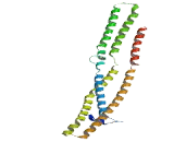 Coiled Coil Helix Coiled Coil Helix Domain Containing Protein 3 (CHCHD3)