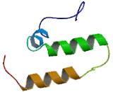 Coiled Coil Helix Coiled Coil Helix Domain Containing Protein 4 (CHCHD4)