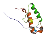 Coiled Coil Helix Coiled Coil Helix Domain Containing Protein 6 (CHCHD6)