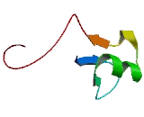 Coiled Coil Helix Coiled Coil Helix Domain Containing Protein 8 (CHCHD8)