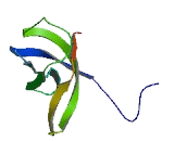 Cold Shock Domain Containing Protein E1, RNA Binding (CSDE1)