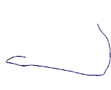 Collagen Like Tail Subunit Of Asymmetric Acetylcholinesterase (COLQ)