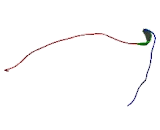 Collagen Type XIV (COL14)