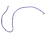 Collagen Type XXI (COL21)