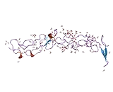 Collagen Type XXIX (COL29)