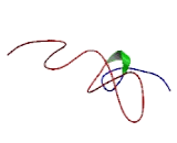 Collagen Type XXVIII (COL28)