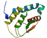 Colony Stimulating Factor 2, Granulocyte Macrophage (GM-CSF)