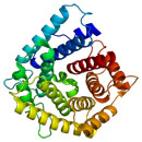 Complement C4-A (C4A)