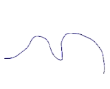 Complement Component 1, Q Subcomponent Like Protein 1 (C1qL1)