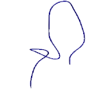 Complement Component 1, Q Subcomponent Like Protein 3 (C1qL3)