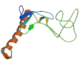 Complement Component 3a Receptor 1 (C3aR1)