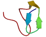 Complement Component 7 (C7)