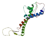 Component Of Oligomeric Golgi Complex 1 (COG1)