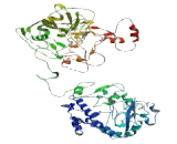 Component Of Oligomeric Golgi Complex 2 (COG2)