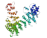 Component Of Oligomeric Golgi Complex 4 (COG4)