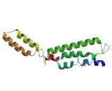 Component Of Oligomeric Golgi Complex 7 (COG7)