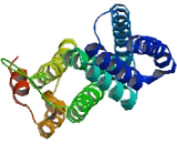 Component Of Oligomeric Golgi Complex 8 (COG8)