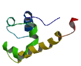 Connector Enhancer Of Kinase Suppressor Of Ras 1 (CNKSR1)