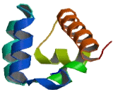 Connector Enhancer Of Kinase Suppressor Of Ras 3 (CNKSR3)