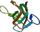 Contactin-associated protein-like 4 (CNTNAP4)