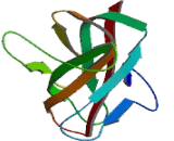 Contactin Associated Protein Like Protein 5 (CNTNAP5)