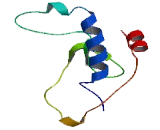 Contingent Replication Of cDNA 4 (CROC4)