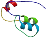 Coordinated Expression To IRX2 (CEI)