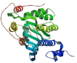 Coproporphyrinogen Oxidase (CPOX)