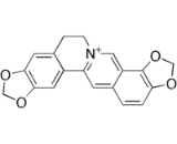 Coptisine (CT)